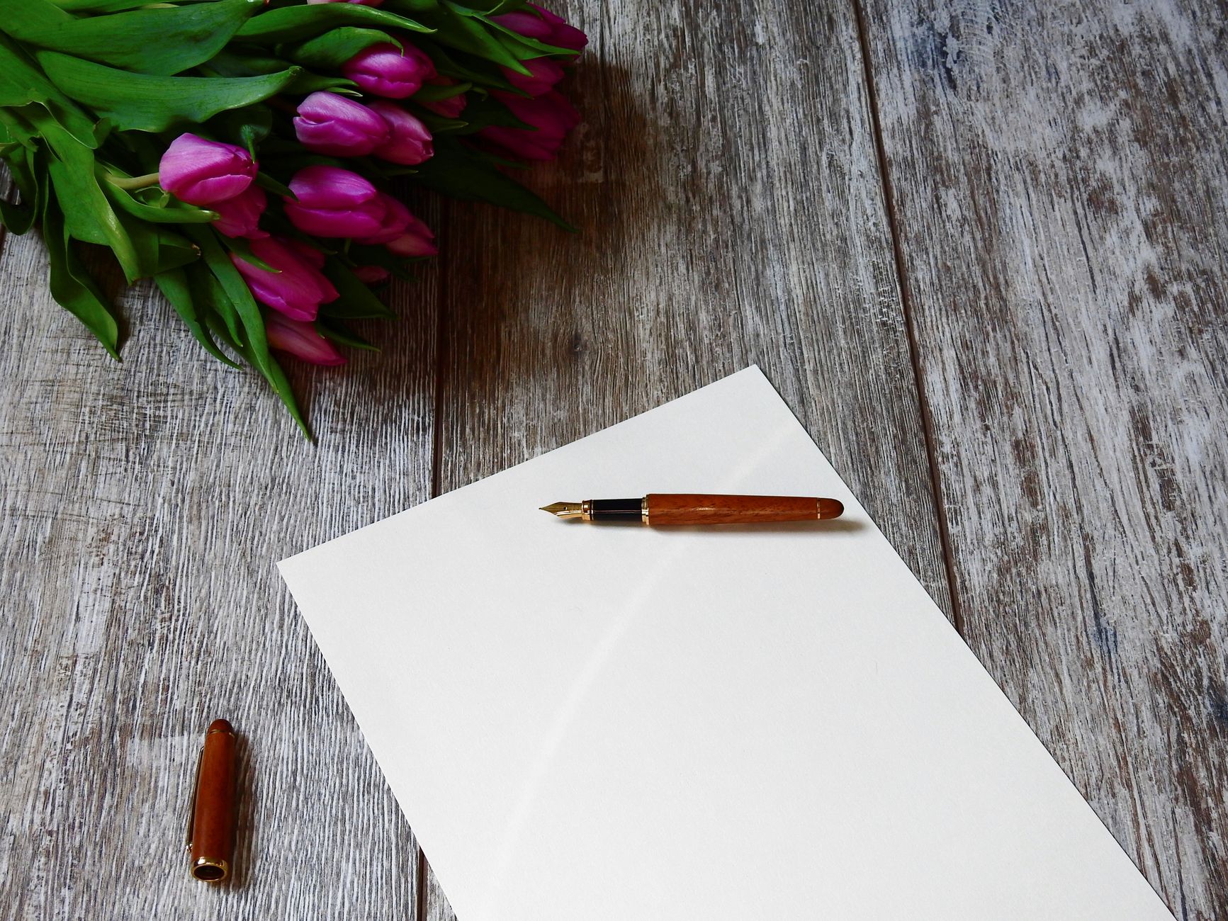 Plume écrivant sur papier blanc symbolisant l'acte de création