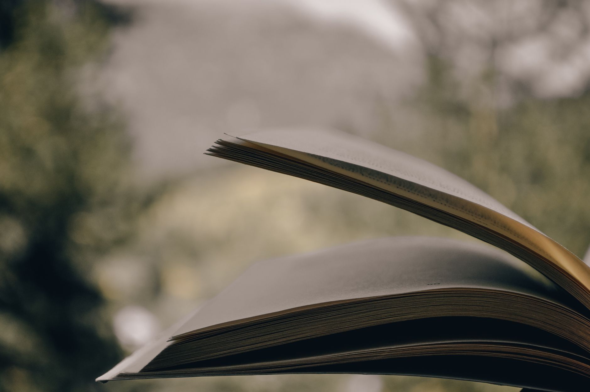 Pages de livre ouvertes avec du vent qui s'écoule