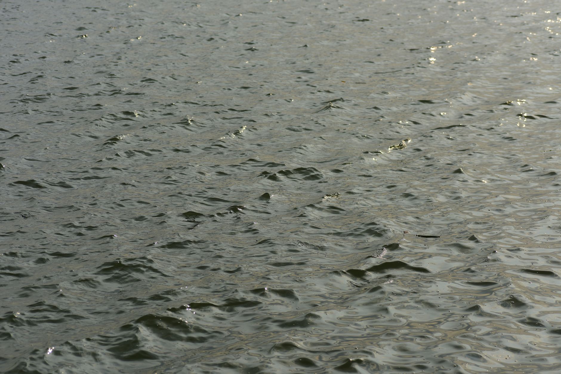 Surface d'eau avec ondulations, représentant le mouvement continu sans effacement